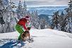 On Zlatibor, this winter (Photo: Svetlana Dingarac)